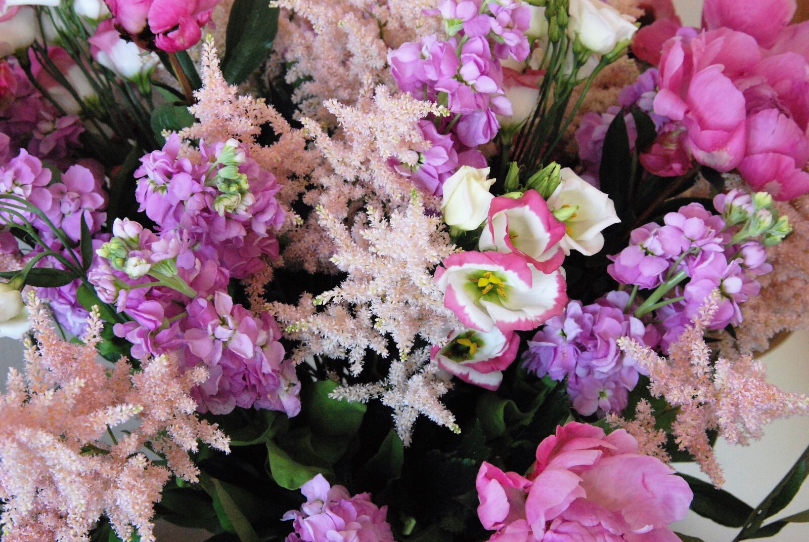 Nikon D80 sample photo. Bouquet, flower, pink photography