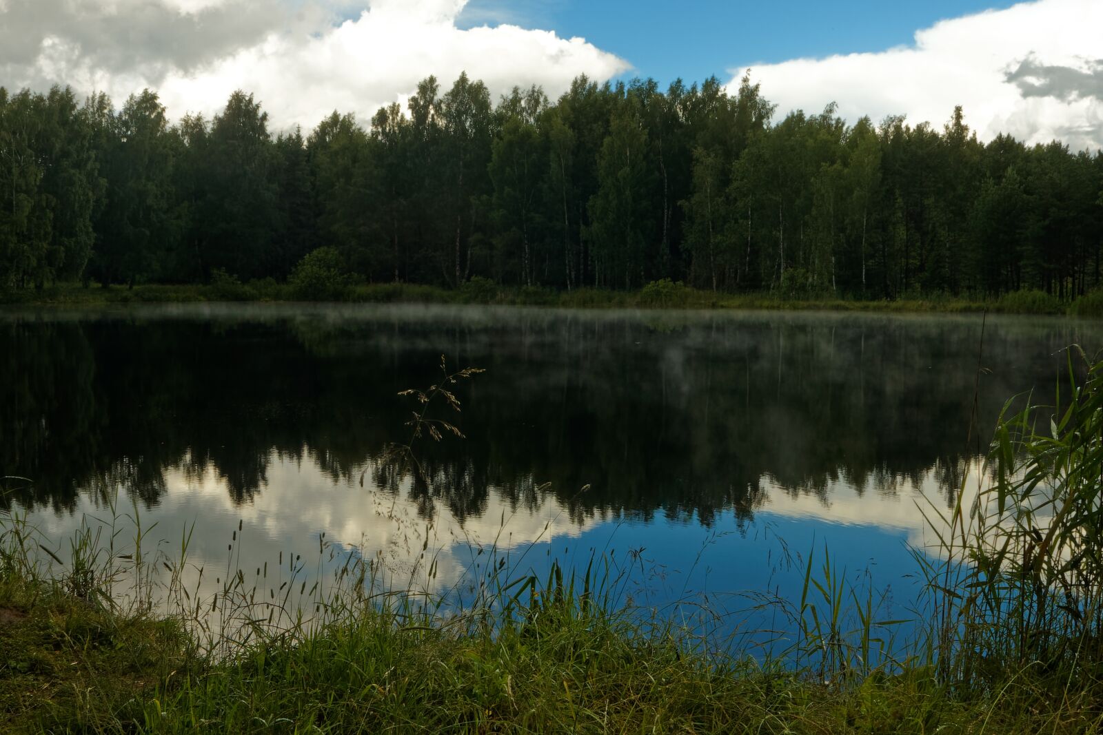 Canon EOS 500D (EOS Rebel T1i / EOS Kiss X3) sample photo. Nature, tranquility, water photography