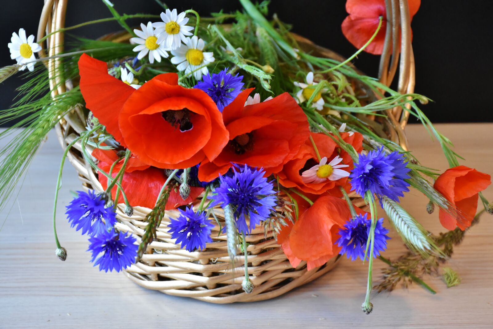 Nikon D7200 sample photo. Poppy, poppies, cornflowers photography