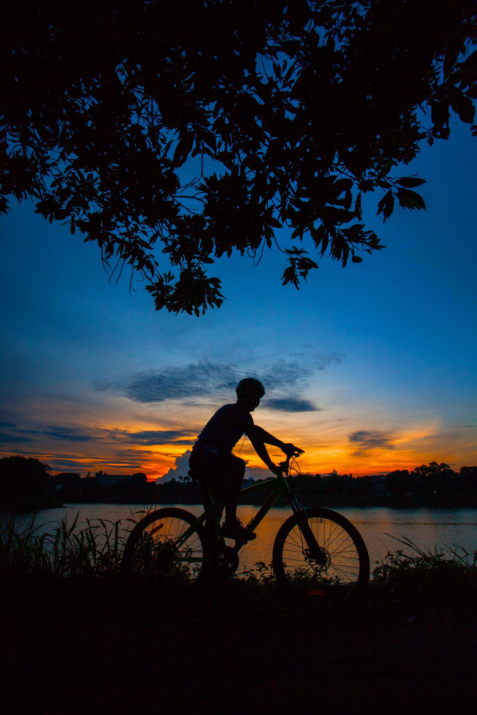Canon EOS 5D Mark II + Canon EF 17-40mm F4L USM sample photo. Bicycle, sunset, lake photography
