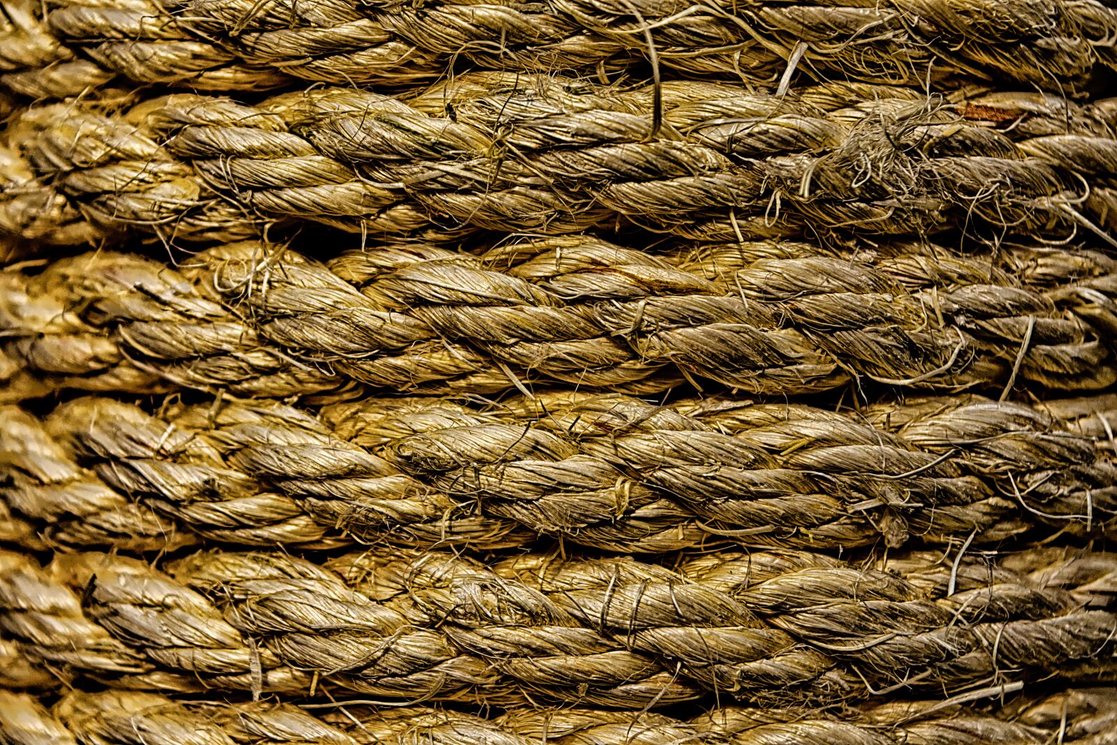 Nikon D7200 sample photo. Background image, sisal, cord photography