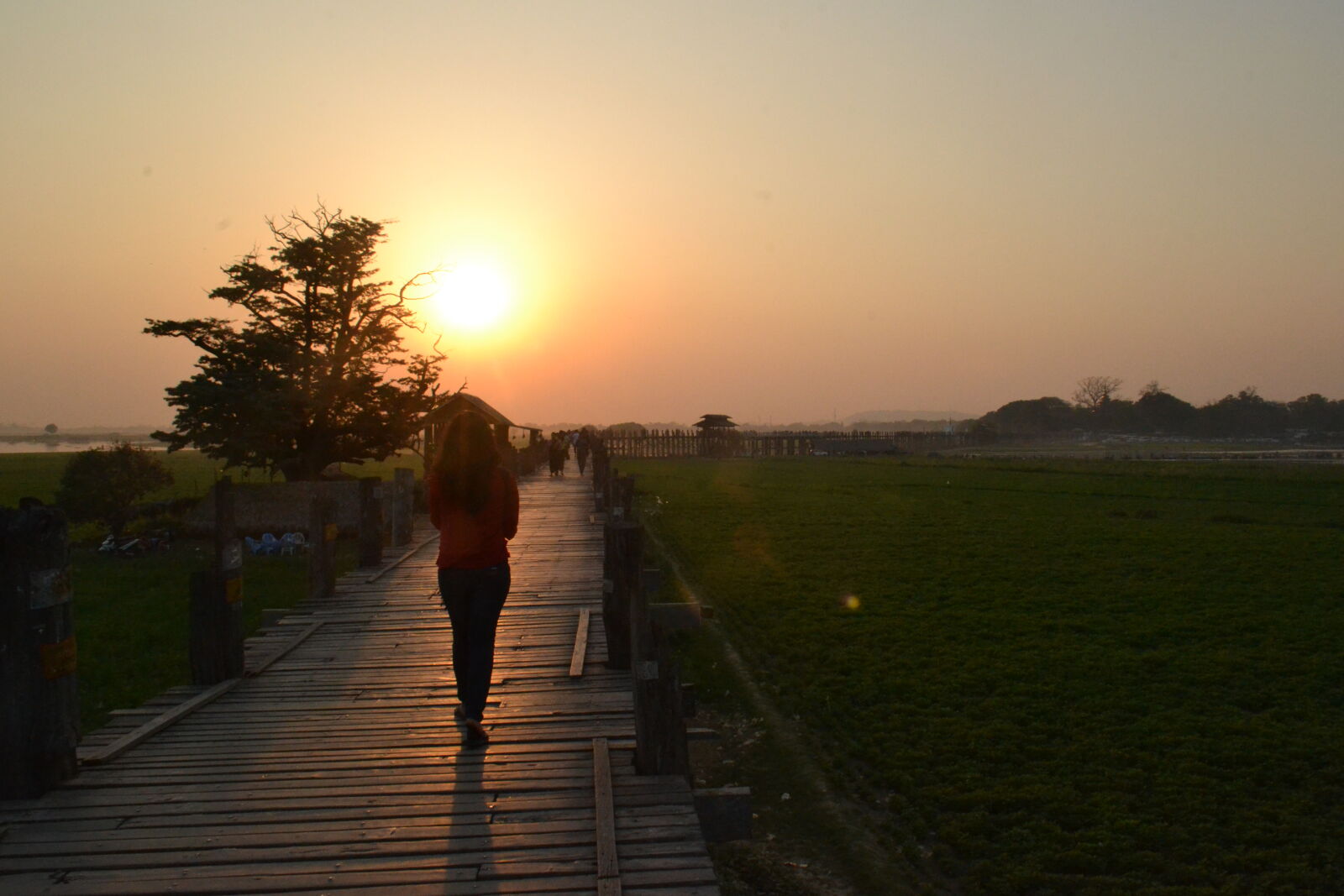 Nikon D3100 sample photo