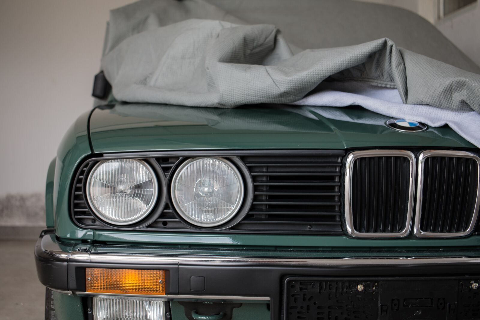 Canon EOS 70D sample photo. Bmw, hood, cooler photography