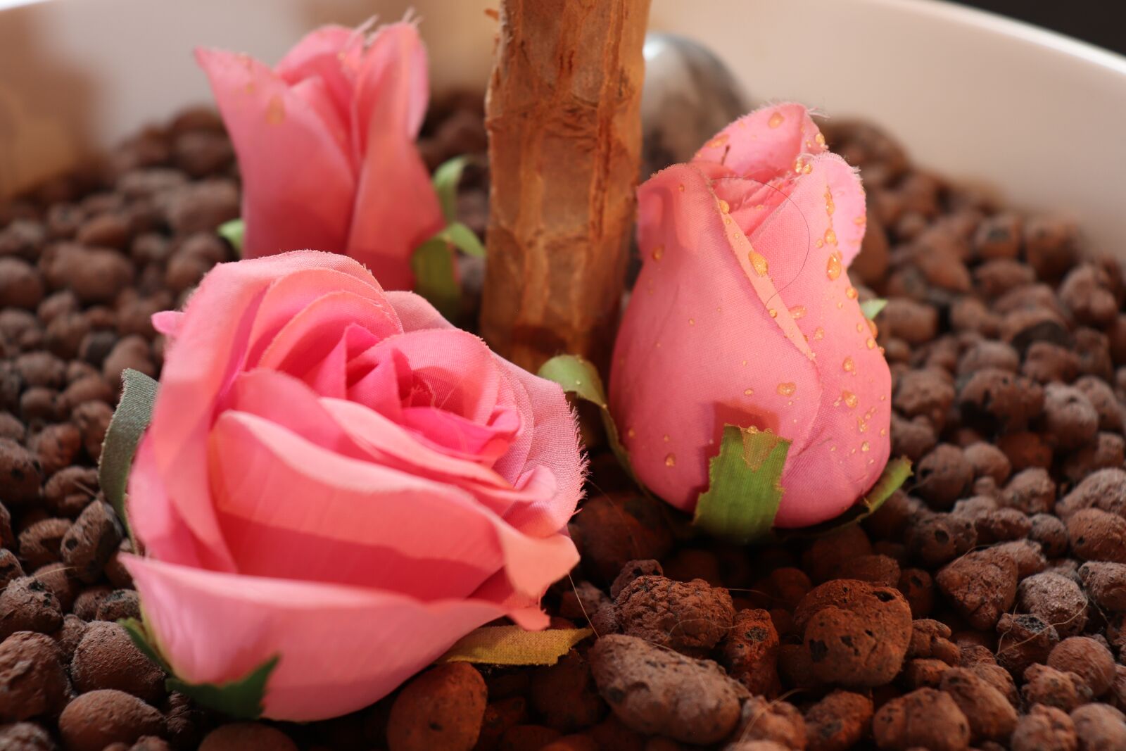 Canon EOS 200D (EOS Rebel SL2 / EOS Kiss X9) sample photo. Rose, flower, blossom photography