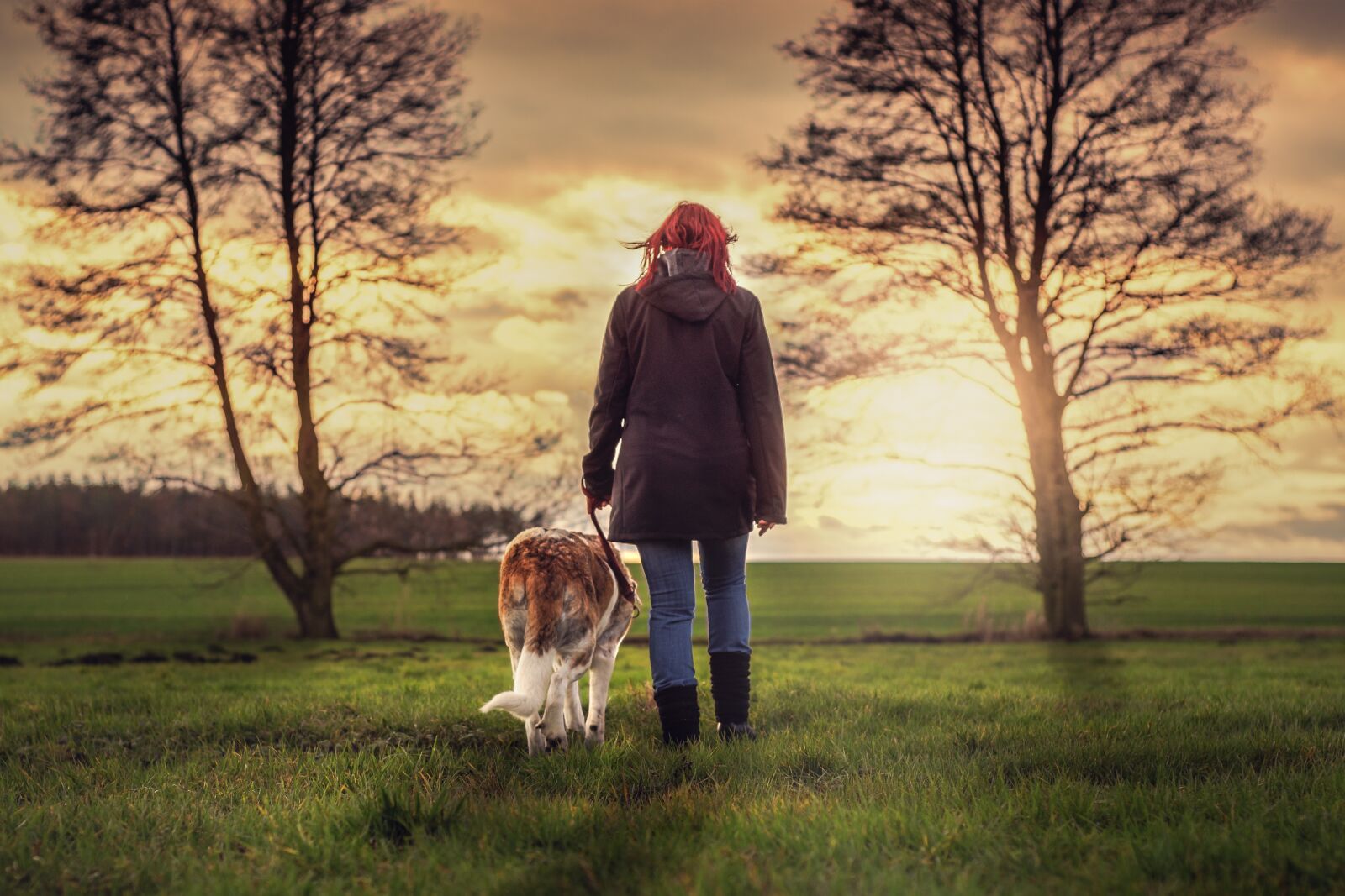 Nikon D7200 sample photo. Landscape, human, dog photography