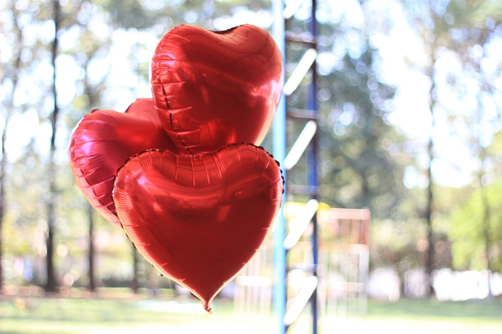 Canon EOS 600D (Rebel EOS T3i / EOS Kiss X5) + Canon EF 50mm F1.8 II sample photo. Heart, nature, sky photography