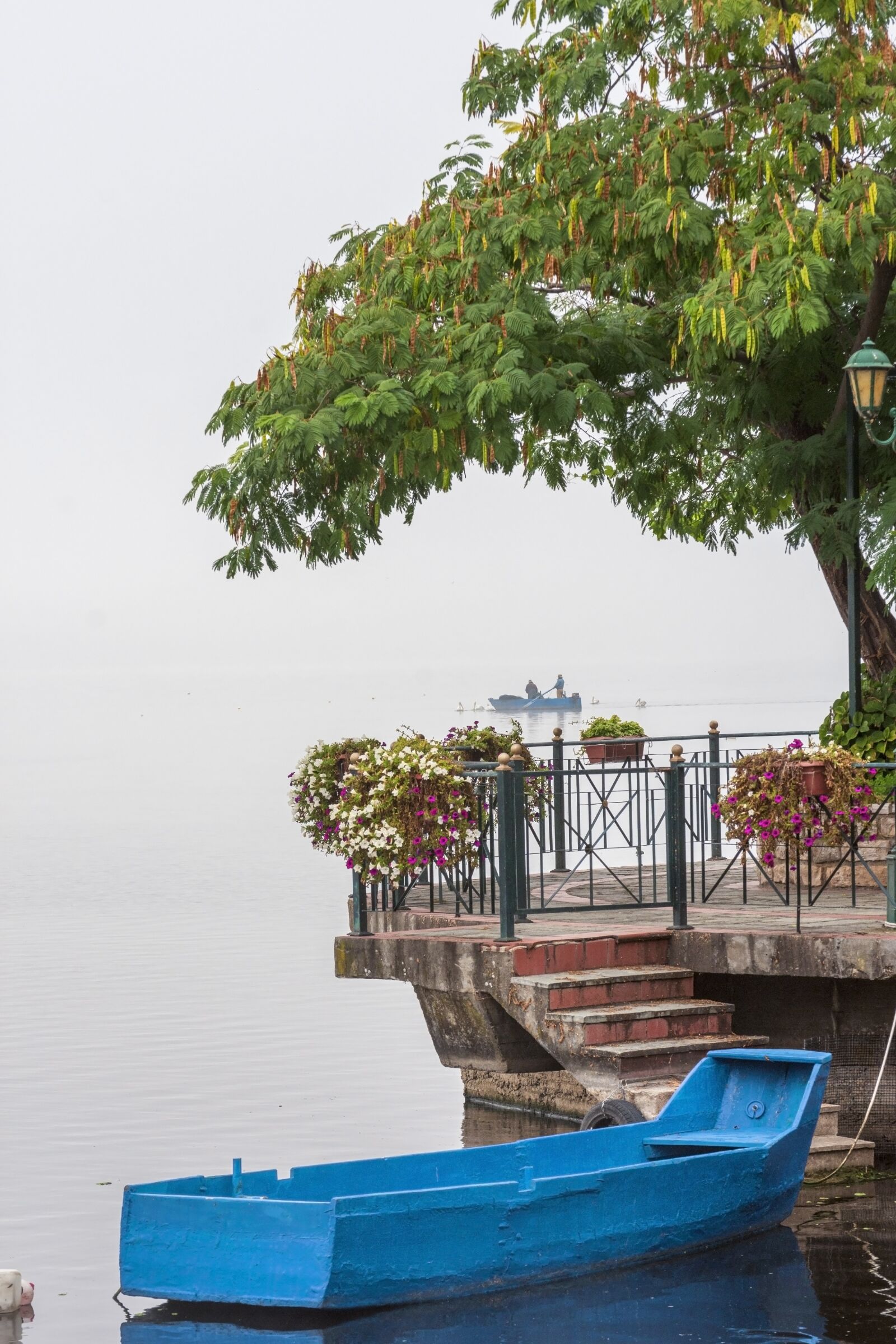 Nikon D7200 sample photo. Fog, autumn, foggy photography