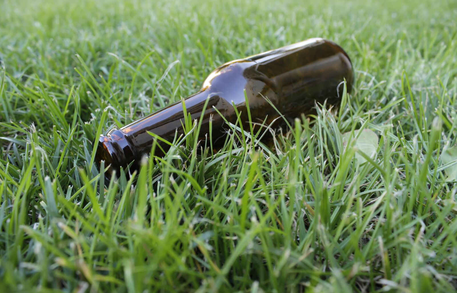 Canon EOS 1200D (EOS Rebel T5 / EOS Kiss X70 / EOS Hi) sample photo. Alcohol, ale, bar, beer photography
