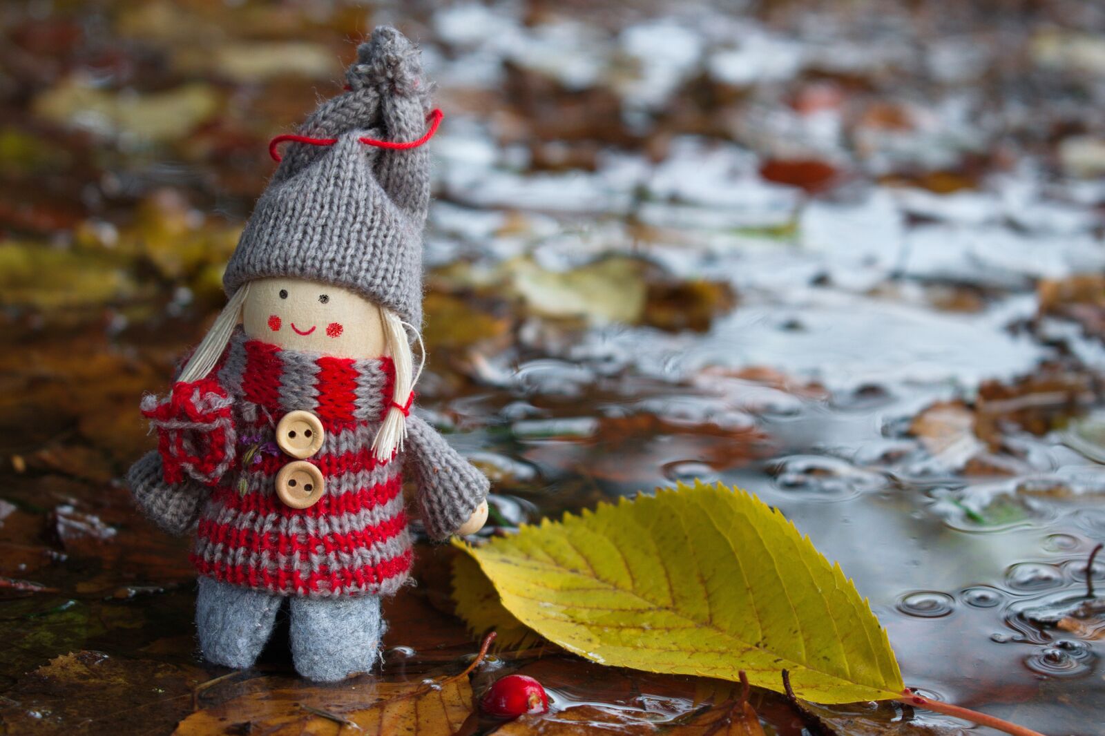 Nikon D3300 sample photo. Rainy day, rain, leave photography