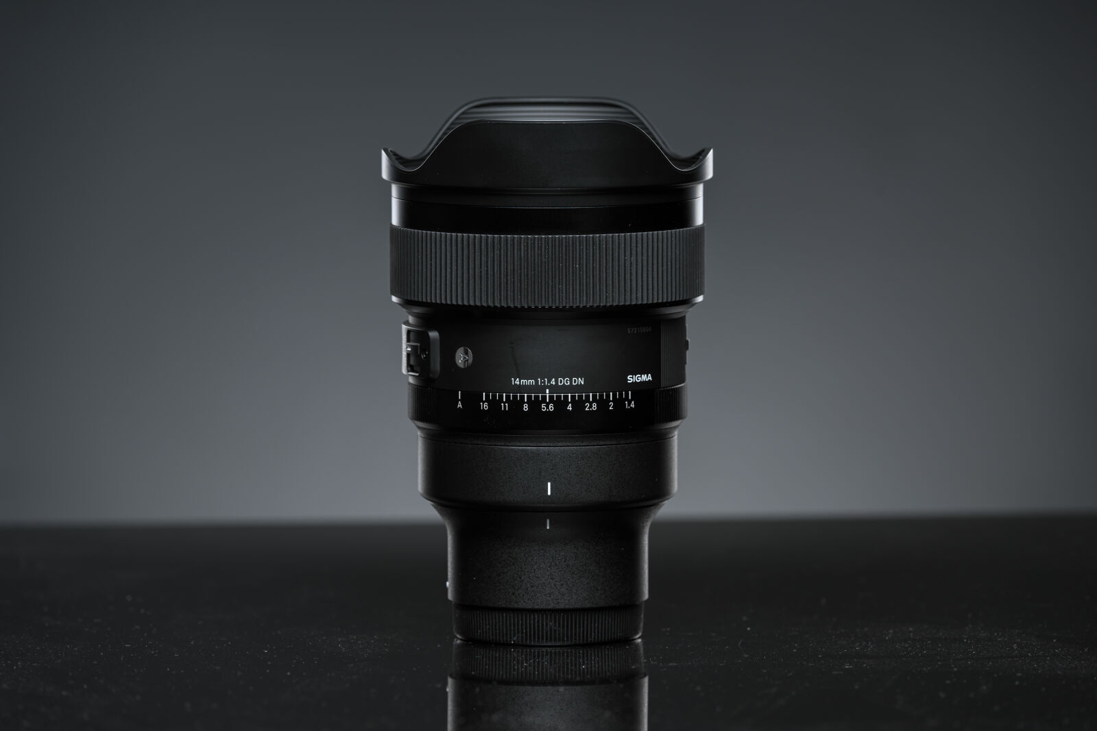 Nikon AF-S Nikkor 200-400mm F4G ED-IF VR sample photo. Sigma 14mm f1.4 dg photography