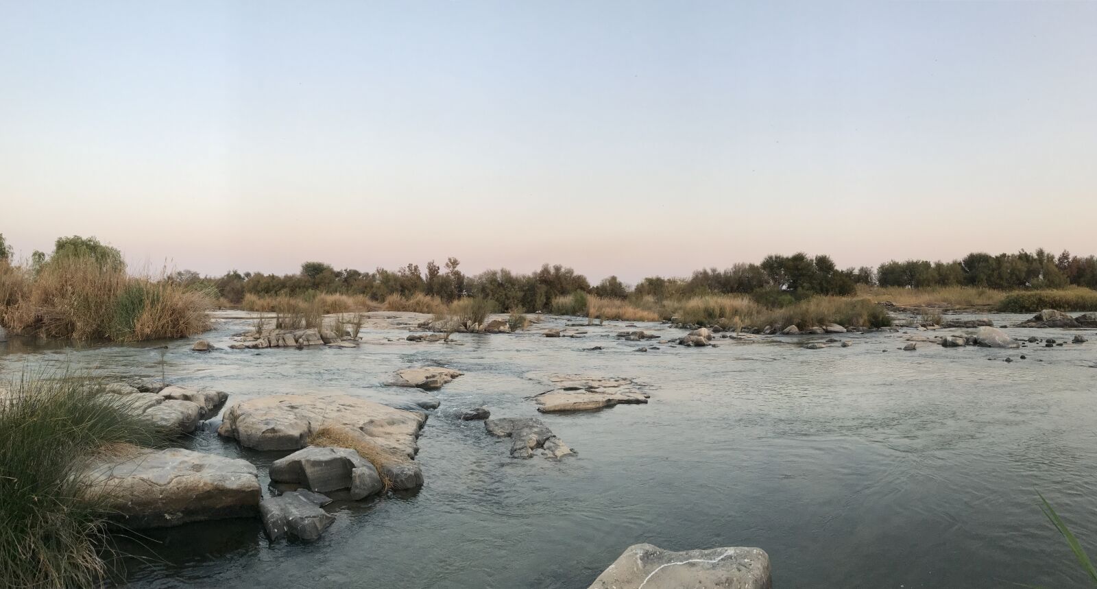 iPhone 7 back camera 3.99mm f/1.8 sample photo. Africa, bushes, kalahari, reeds photography