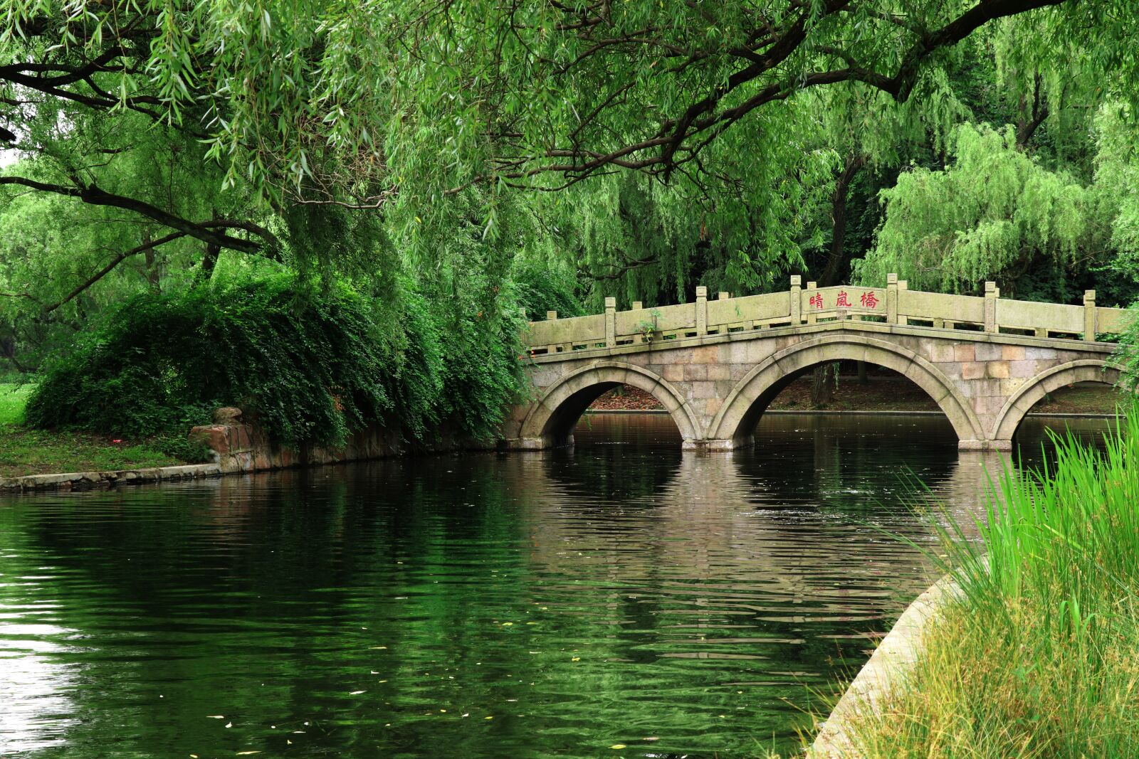 Canon EOS 77D (EOS 9000D / EOS 770D) sample photo. River, park, tree photography