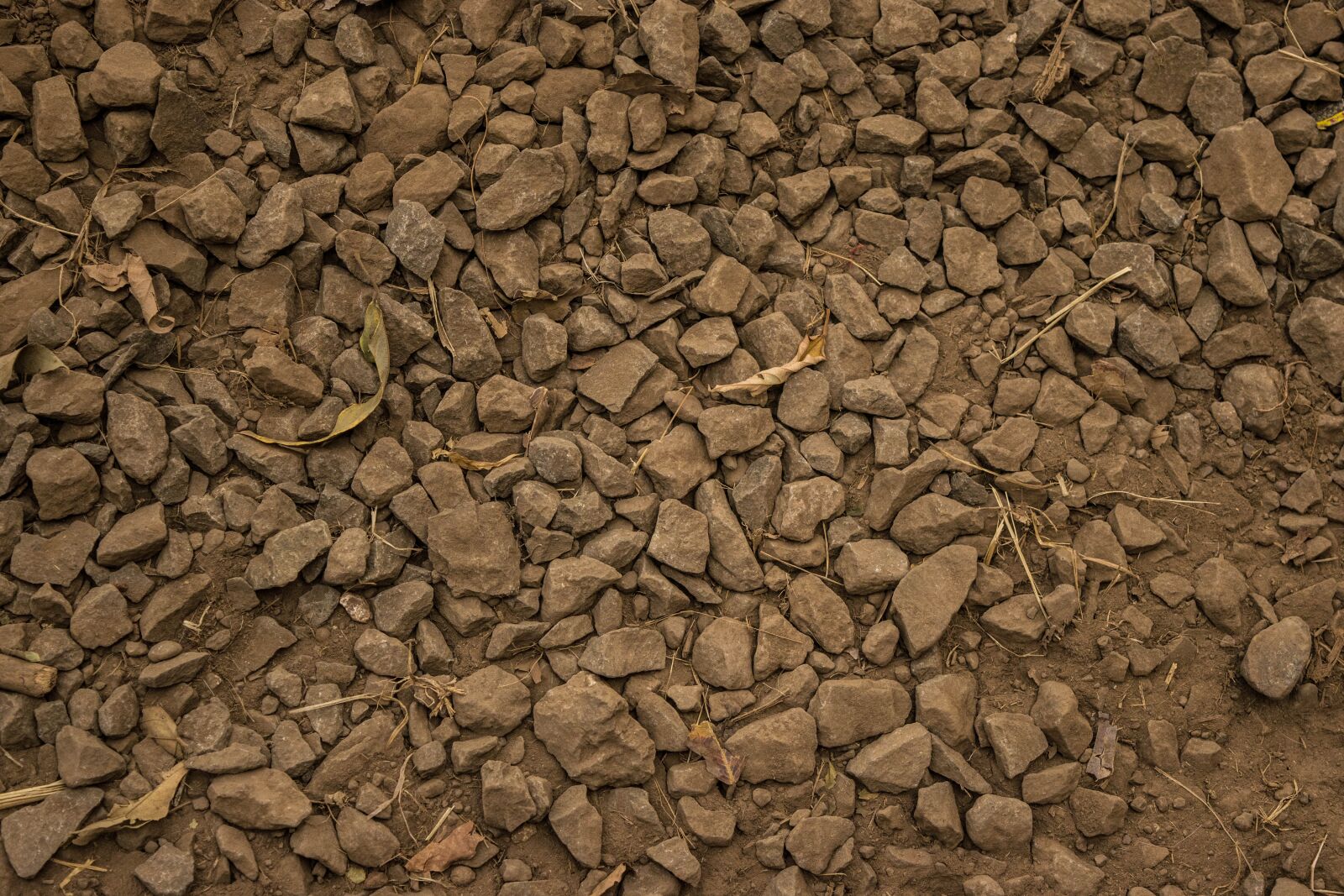 Nikon D5300 sample photo. Rock, pattern, texture photography