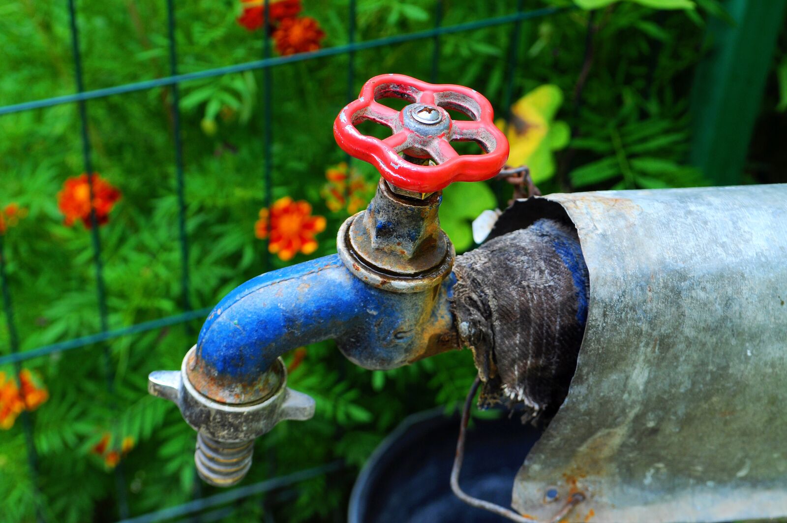 Nikon D5000 sample photo. Pump, color, red photography