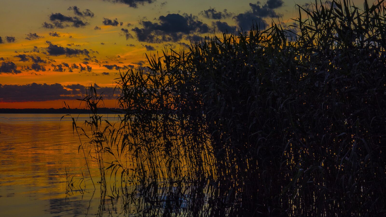 Sony Cyber-shot DSC-RX100 sample photo. Nature, panoramic, sunset photography