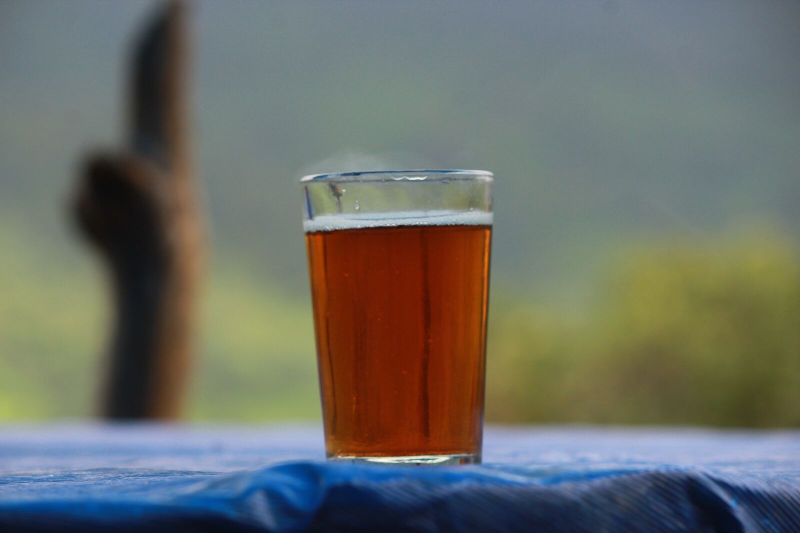 Canon EOS 1200D (EOS Rebel T5 / EOS Kiss X70 / EOS Hi) sample photo. Tea, munnar, kerala photography