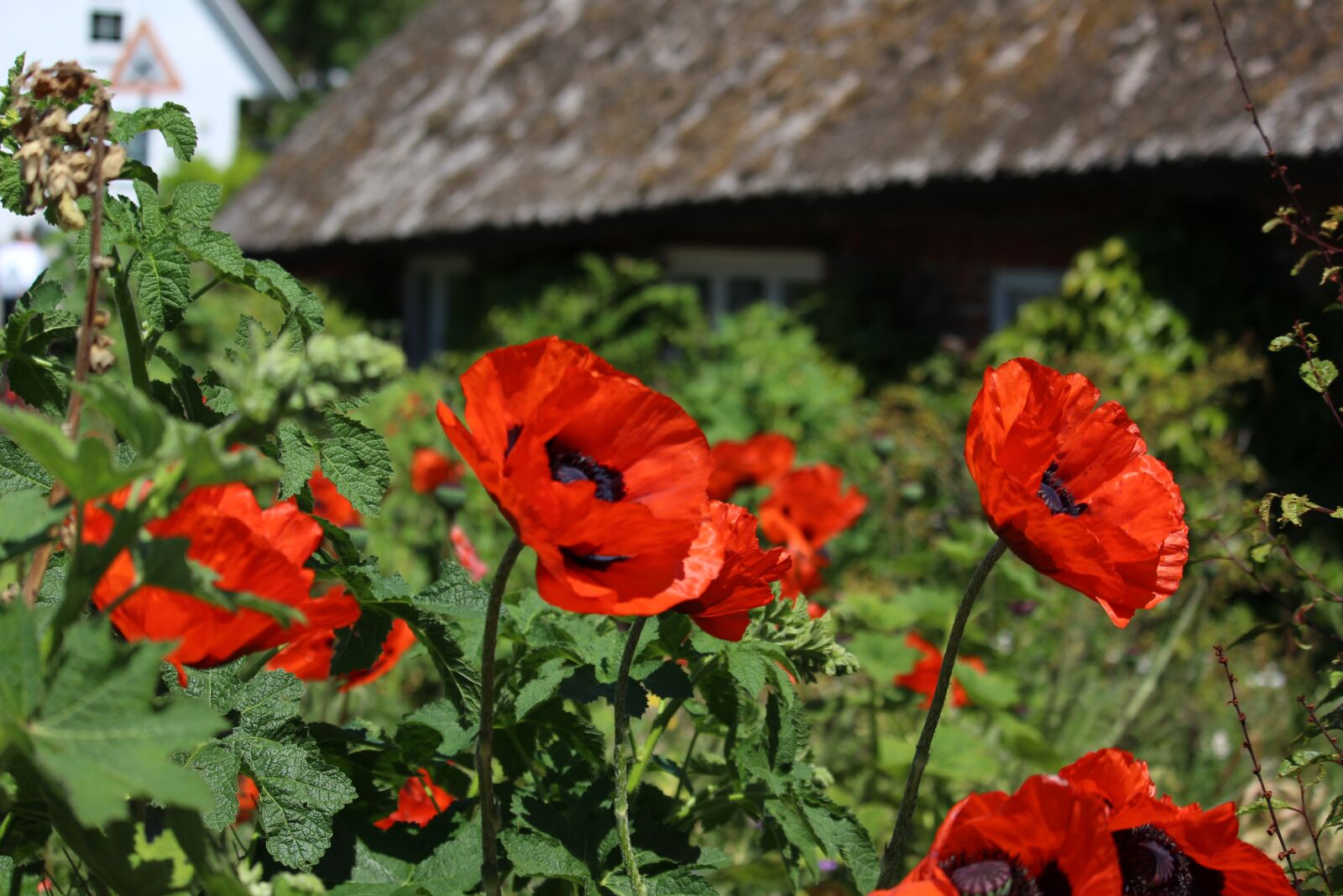 Canon EF-S 55-250mm F4-5.6 IS STM sample photo. Fachwerkhaus, village, rural photography