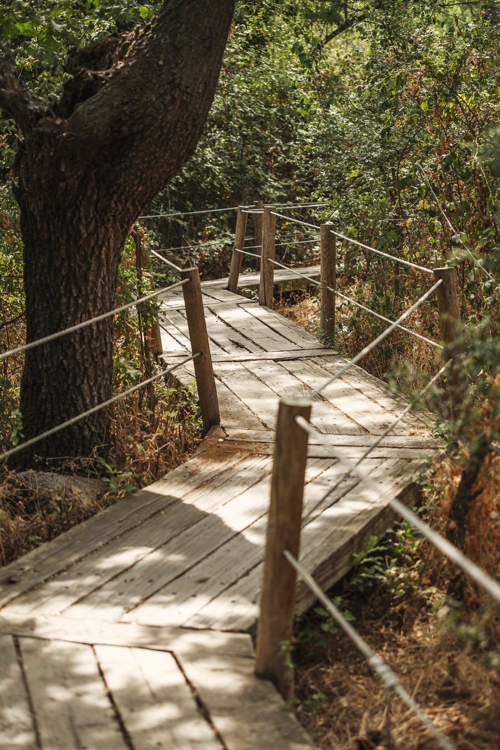 Canon EOS 5D sample photo. Path, zigzag, lavirian photography