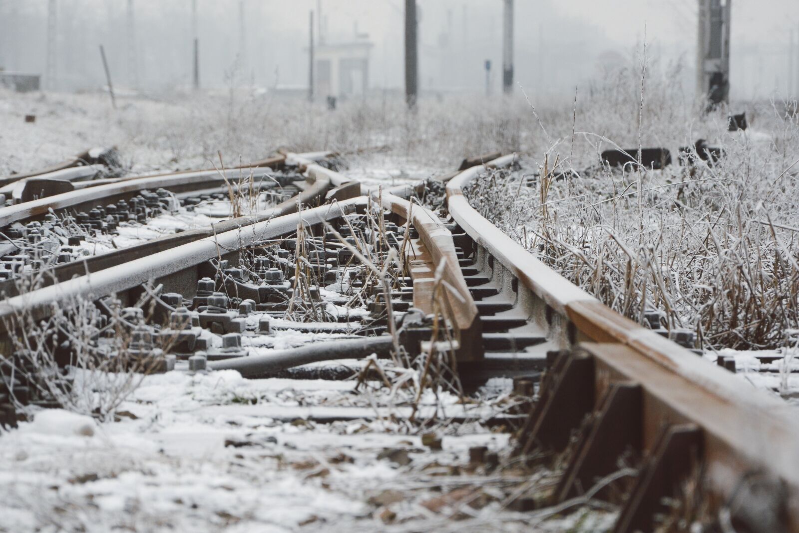 Nikon D7100 sample photo. Road, nature, winter photography