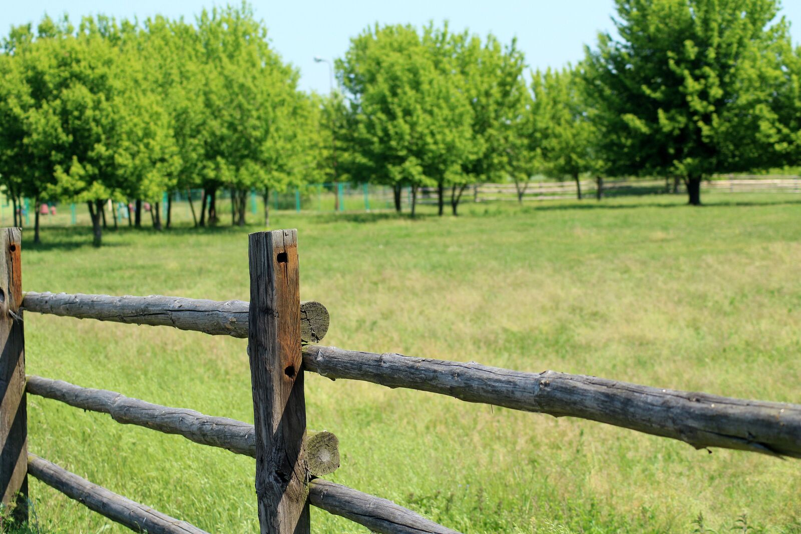 Canon EOS 1200D (EOS Rebel T5 / EOS Kiss X70 / EOS Hi) sample photo. Landscape, nature, spring photography