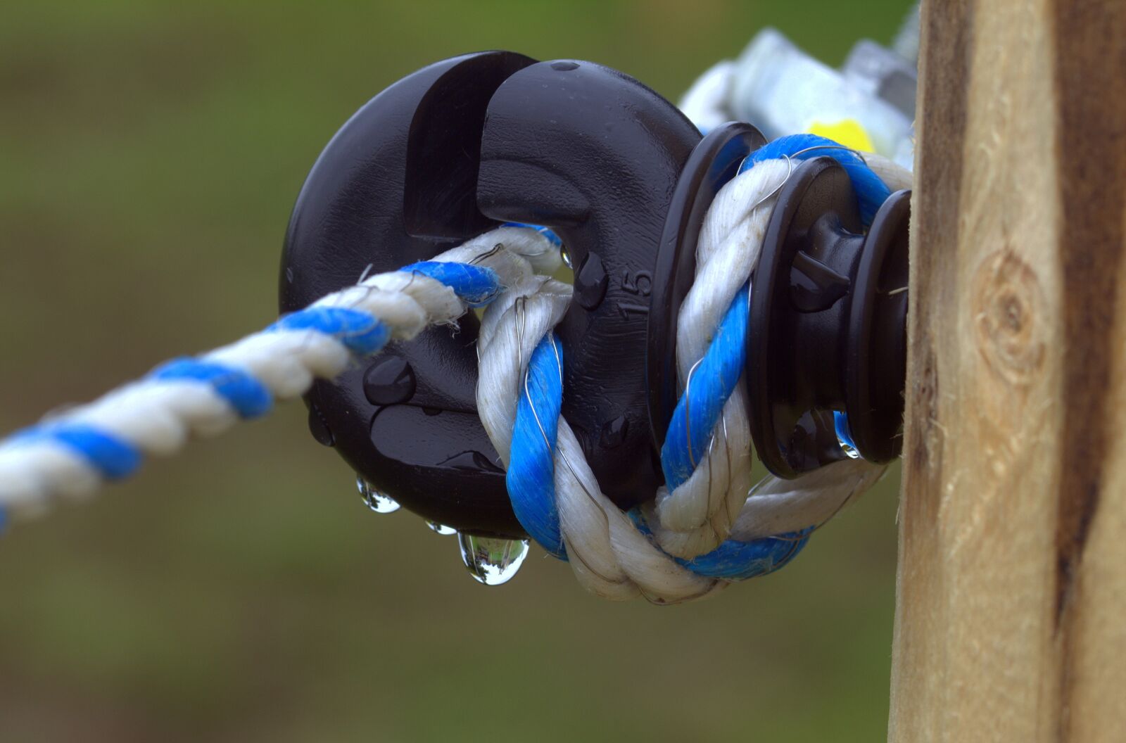 Canon EOS 650D (EOS Rebel T4i / EOS Kiss X6i) sample photo. Wicker fence, mount, plastic photography