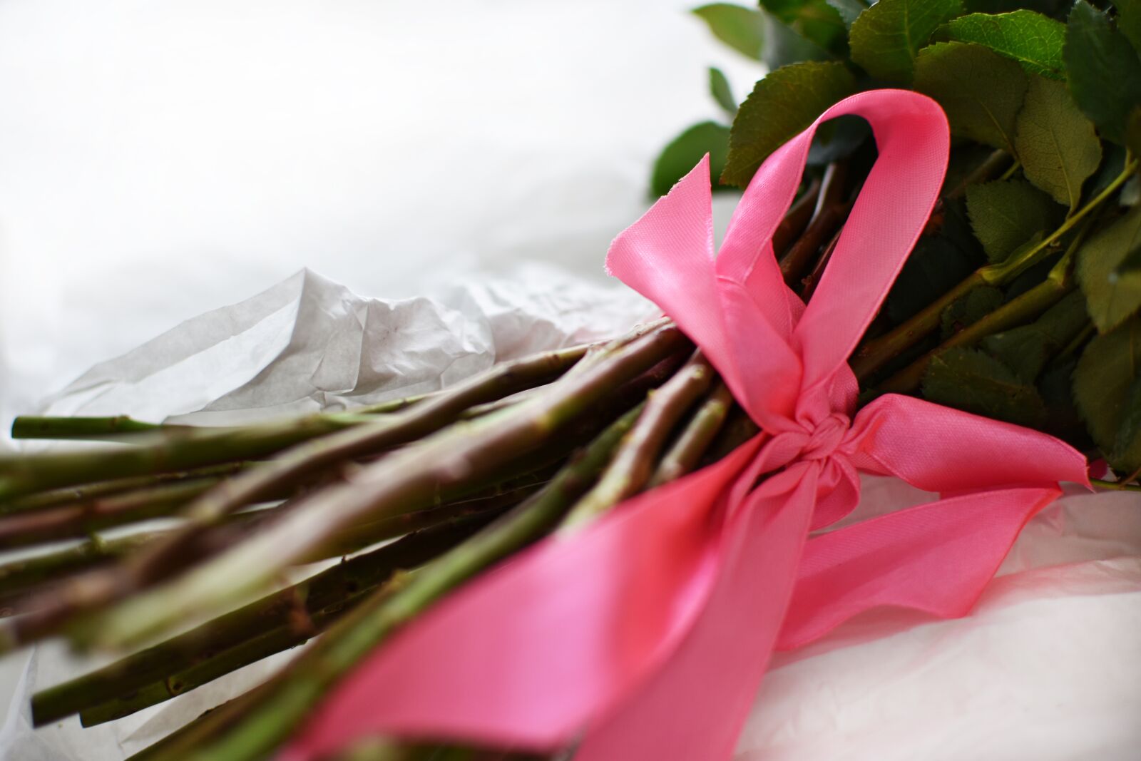 Nikon D3400 sample photo. Bow, flowers, rose photography