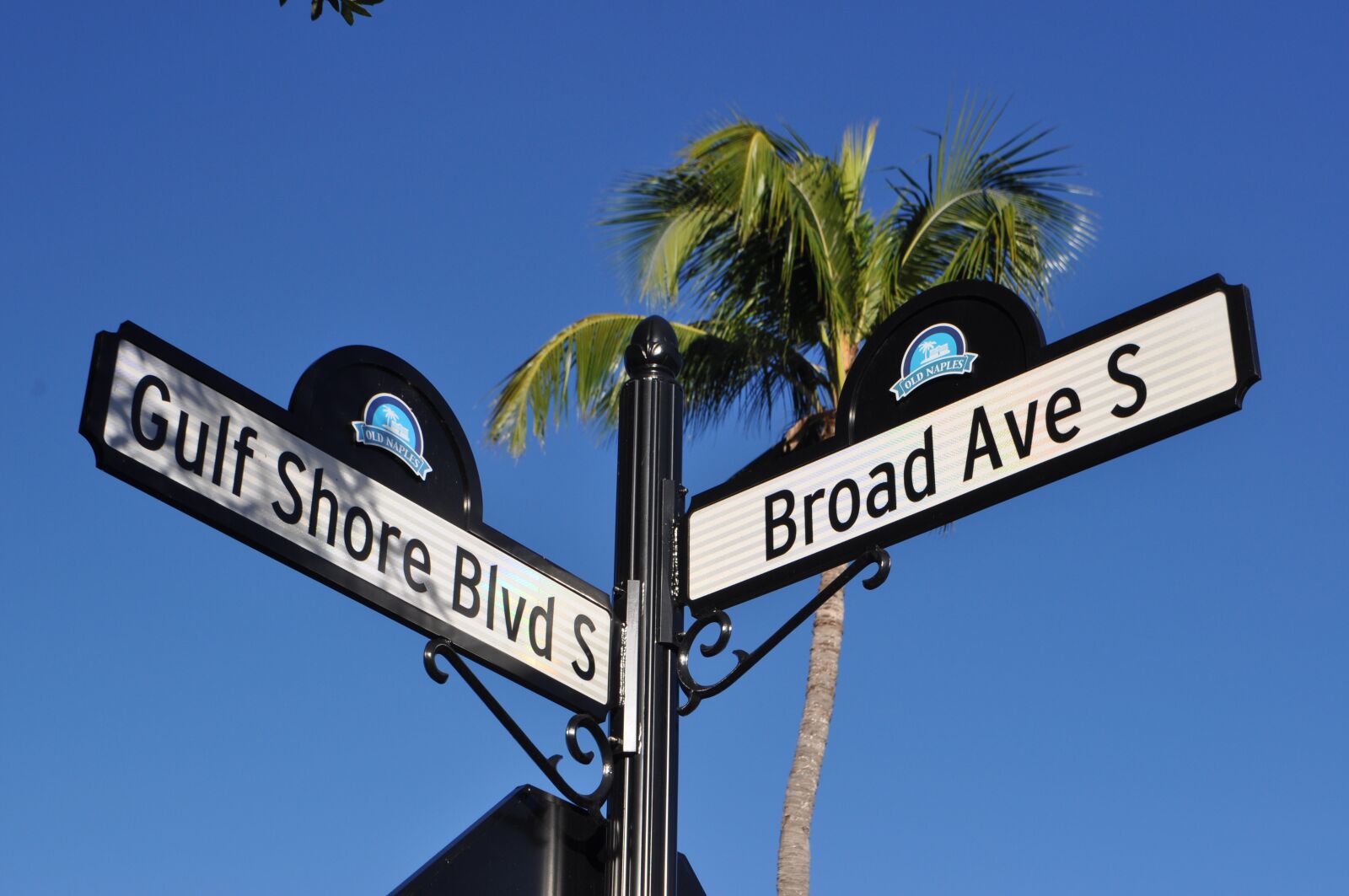 Nikon D5000 sample photo. Naplesfl, naplesflorida, naplesfloridadowntown photography