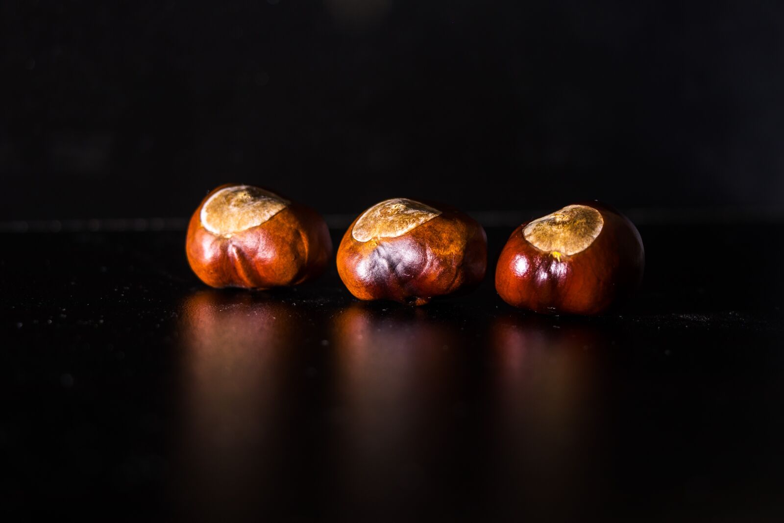 Canon EOS M100 sample photo. Chestnut, nut, autumn photography