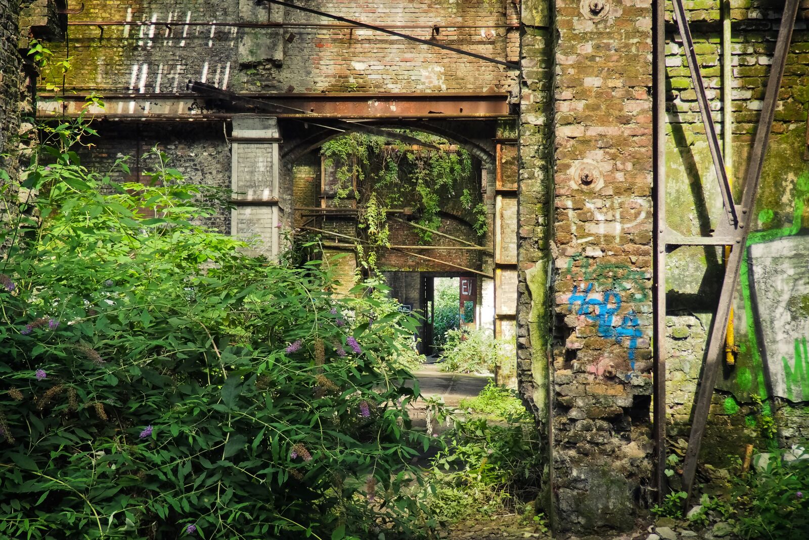 Olympus OM-D E-M10 sample photo. Lost places, rooms, abandoned photography