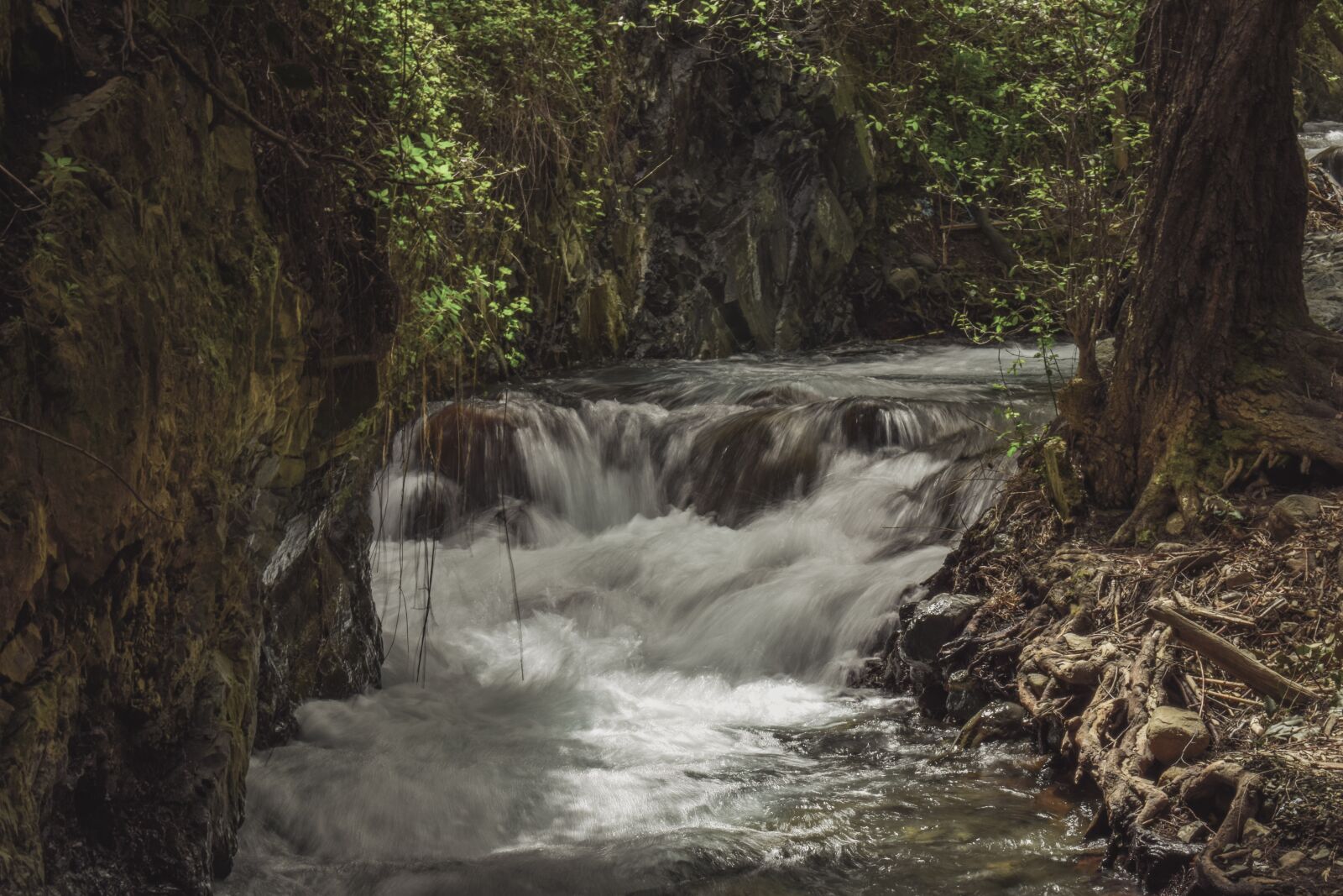 Nikon D3300 sample photo. Stream, creek, scenic photography