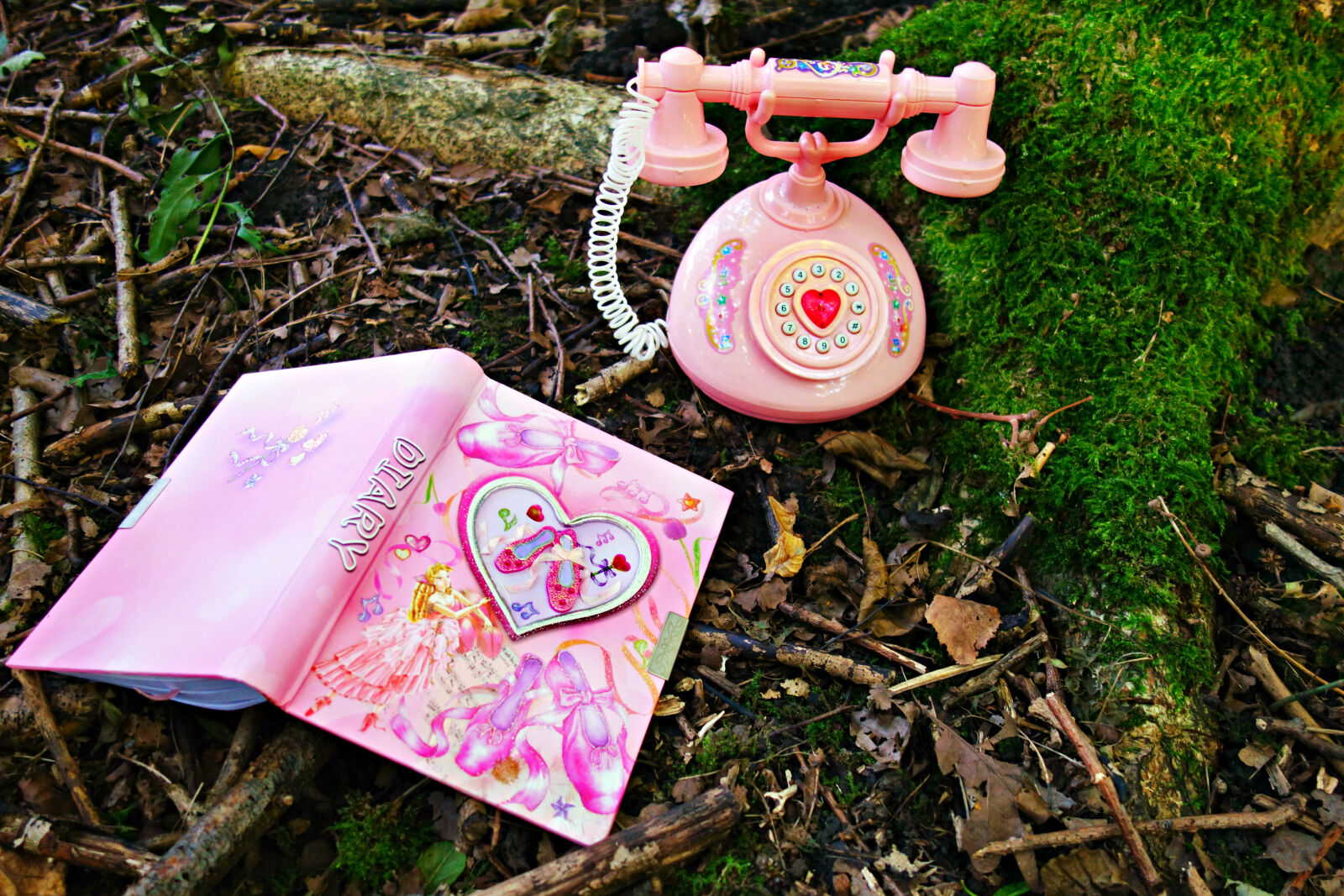 Sony Cyber-shot DSC-RX100 sample photo. Classic, diary, forest, journal photography