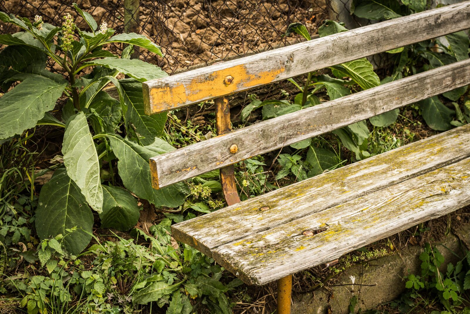 Canon EOS 700D (EOS Rebel T5i / EOS Kiss X7i) sample photo. Bench, sit, travel photography