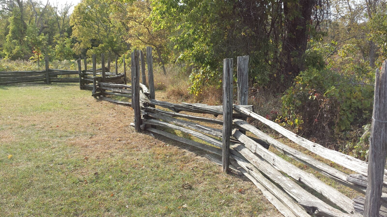 Samsung Galaxy S4 sample photo. Fence, point pelee, park photography