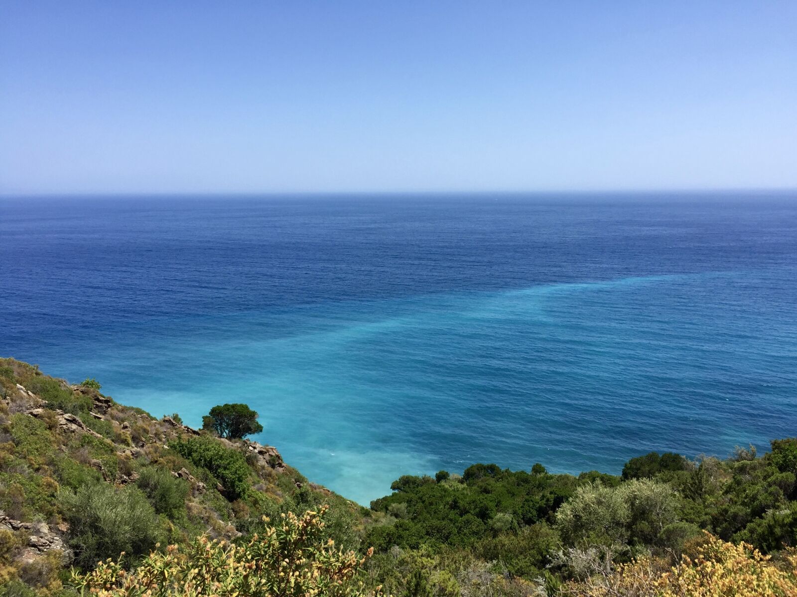 Apple iPhone 6 sample photo. Sardinia, coast, tree photography