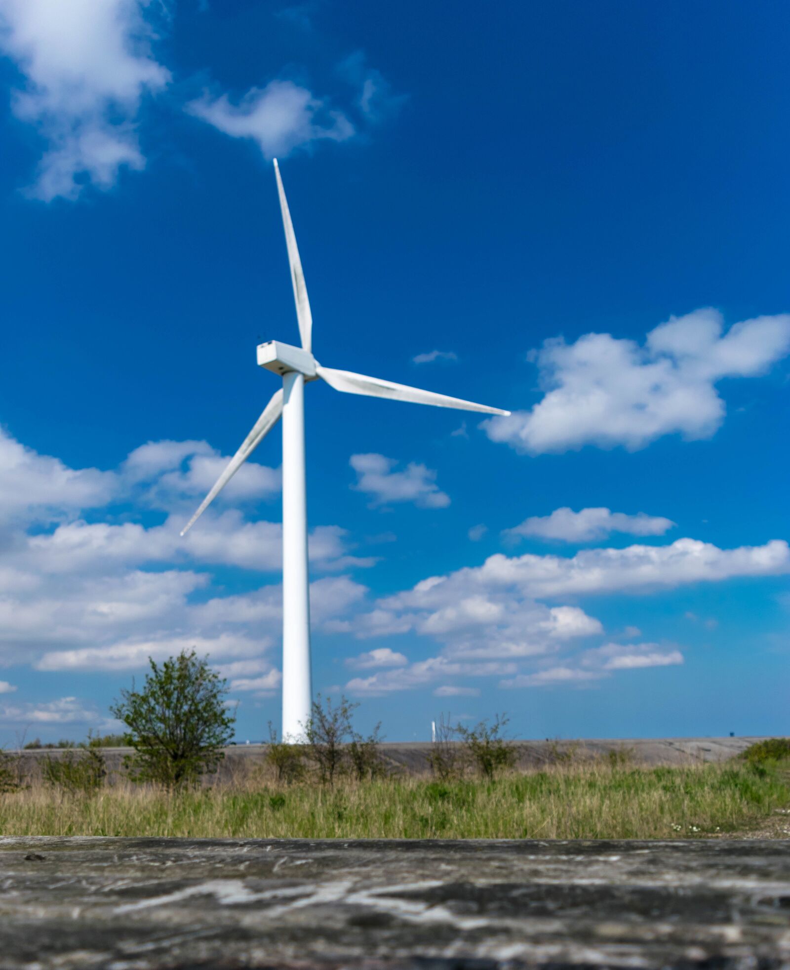 Nikon D3300 sample photo. Pinwheel, energy, wind power photography