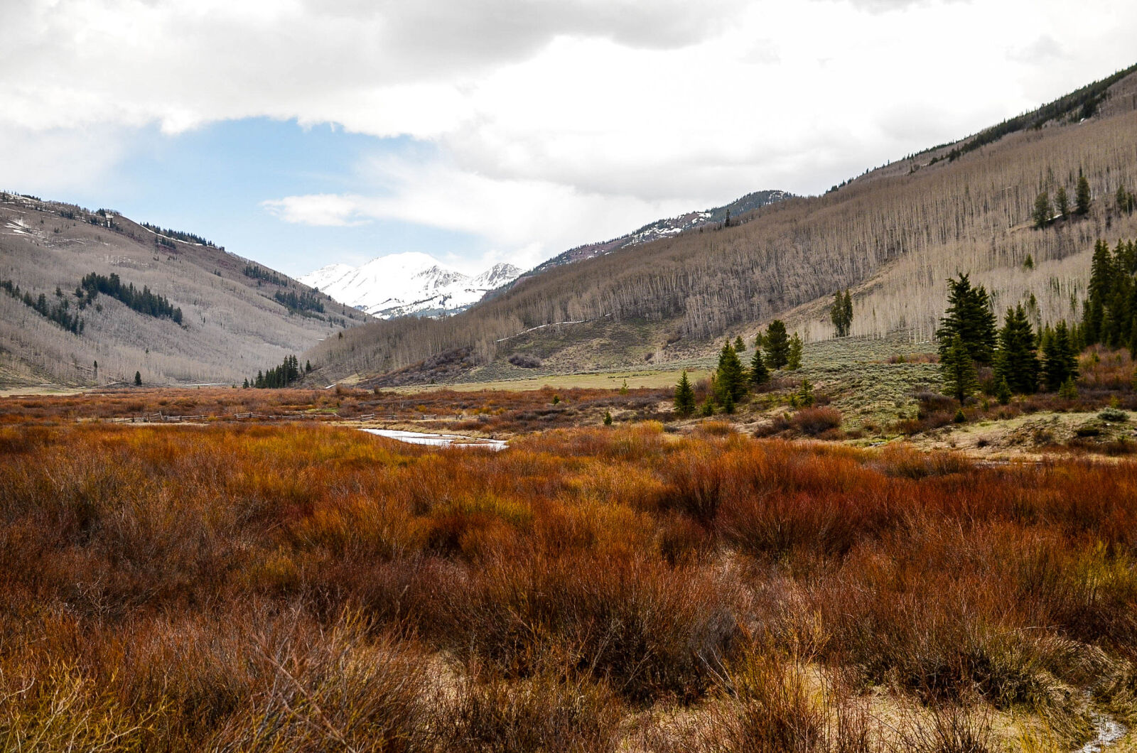 Nikon D7000 + Nikon AF-S DX Nikkor 35mm F1.8G sample photo. Colorado, field photography