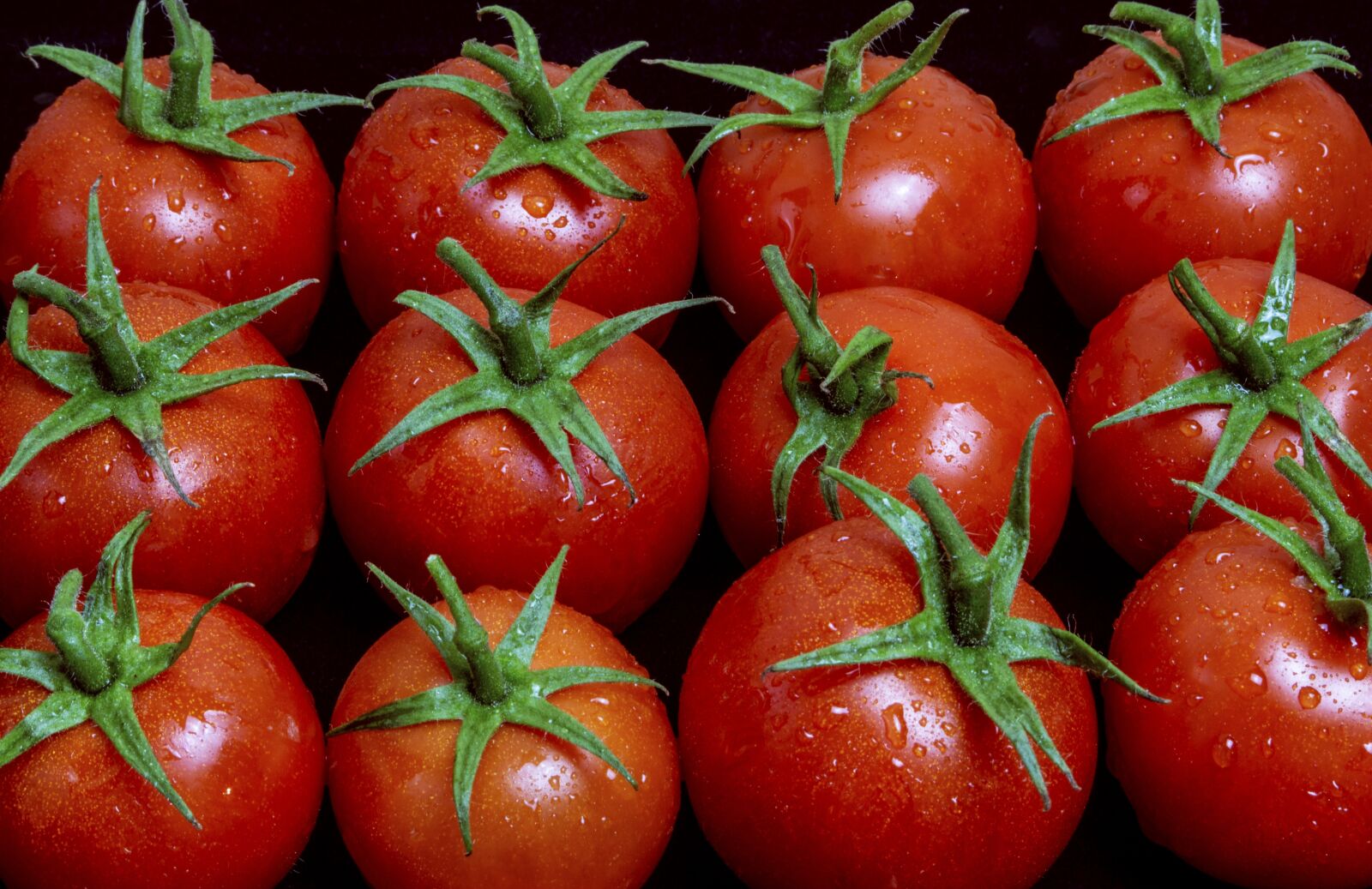 Nikon D3200 sample photo. Tomatoes, eat, vegetables photography