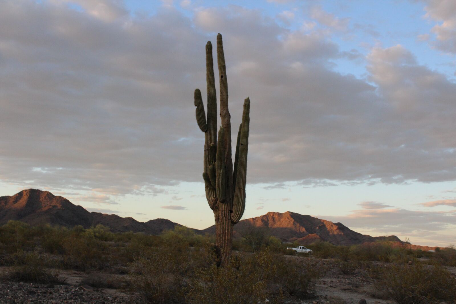 Canon EOS 1200D (EOS Rebel T5 / EOS Kiss X70 / EOS Hi) sample photo. Cactus, hiking, desert photography