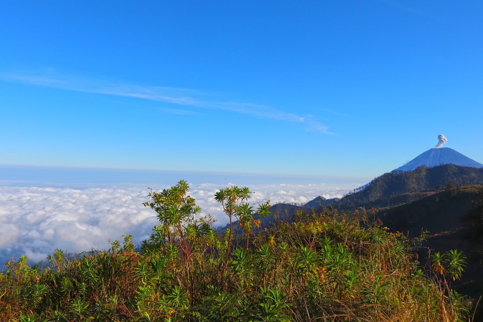 Canon EOS 200D (EOS Rebel SL2 / EOS Kiss X9) sample photo. Semeru, landscape, nature photography