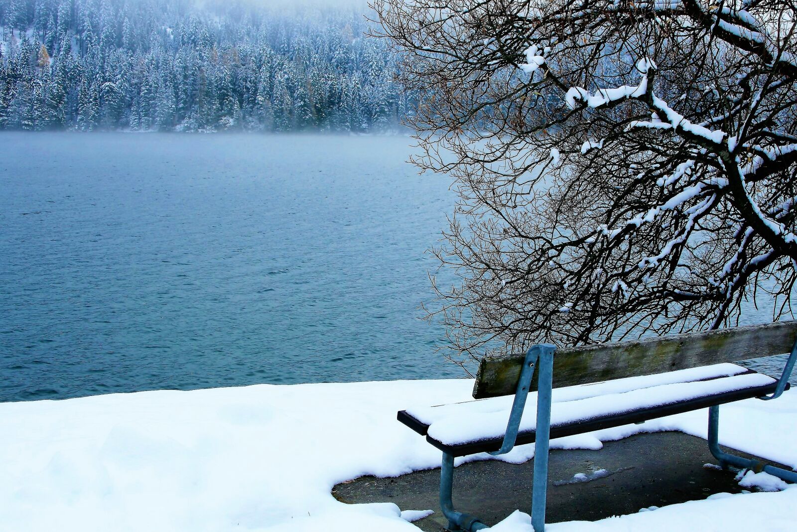 Canon EOS 400D (EOS Digital Rebel XTi / EOS Kiss Digital X) sample photo. Bench, snow, white photography