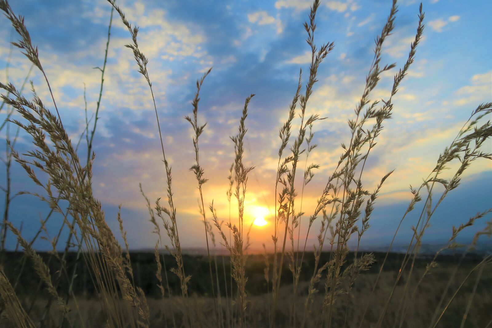 Canon PowerShot G7 X sample photo. Sunset, in the evening photography