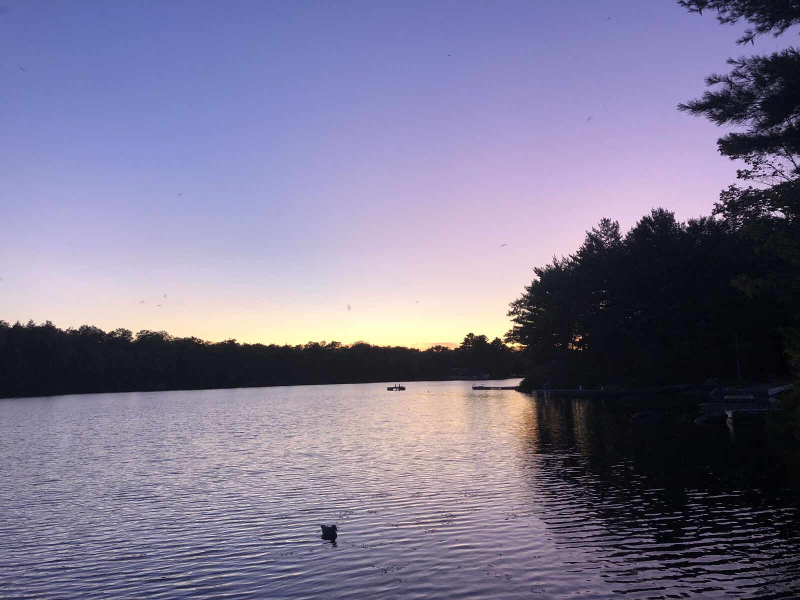 iPhone 8 back camera 3.99mm f/1.8 sample photo. Landscape, water, nature photography