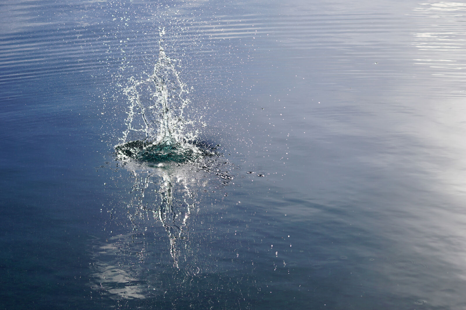 Sony a6000 + Sony FE 70-200mm F4 G OSS sample photo. Background, blue, water, drop photography