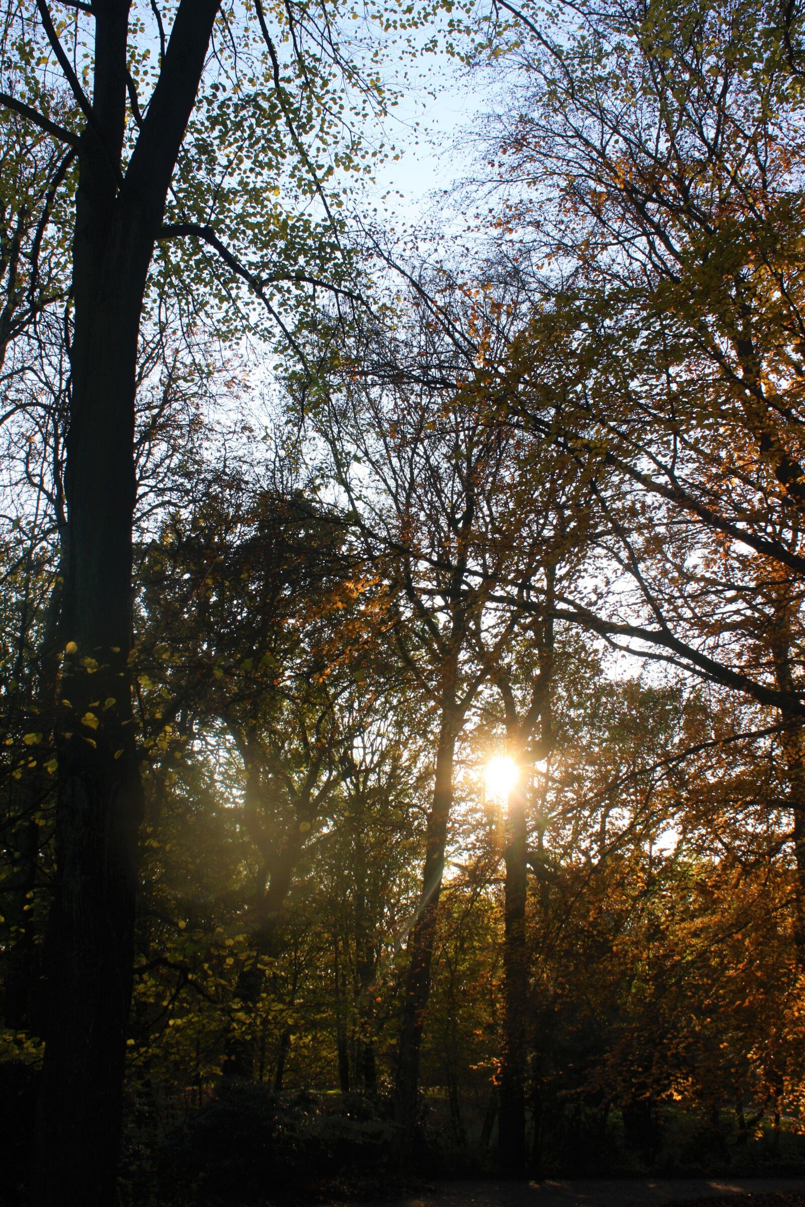 Canon EOS 1000D (EOS Digital Rebel XS / EOS Kiss F) sample photo. Autumn, autumn evening, walk photography