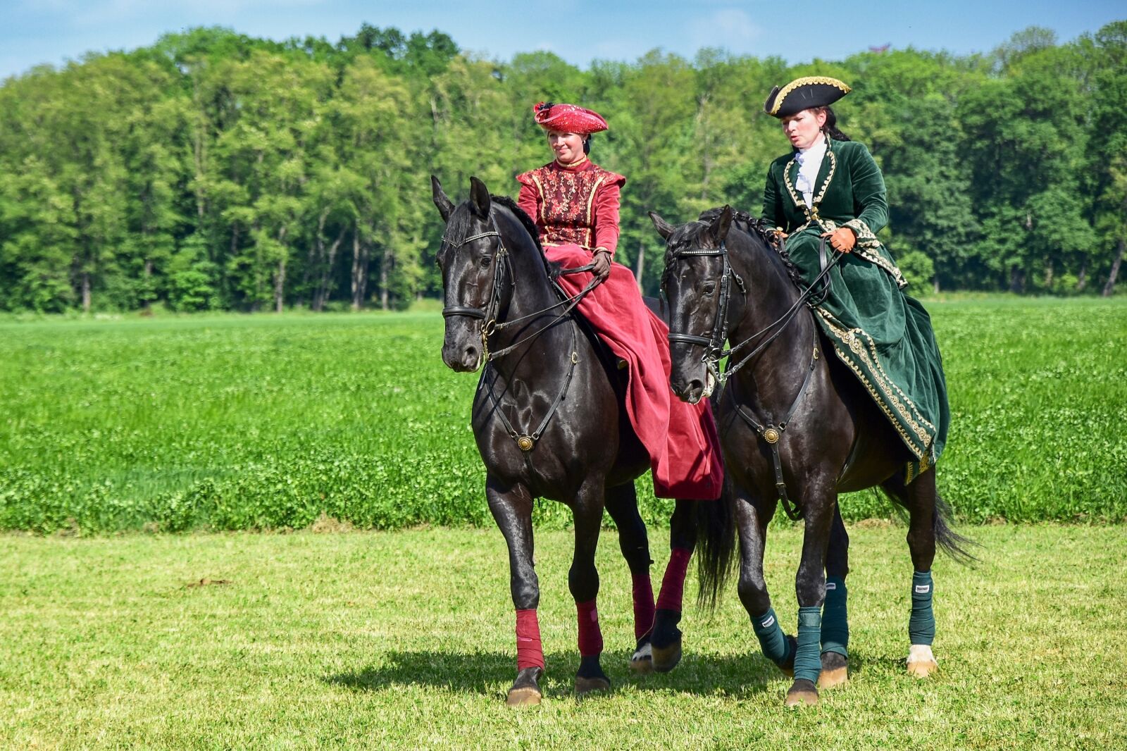 Nikon D5500 sample photo. Horse, lady, woman photography