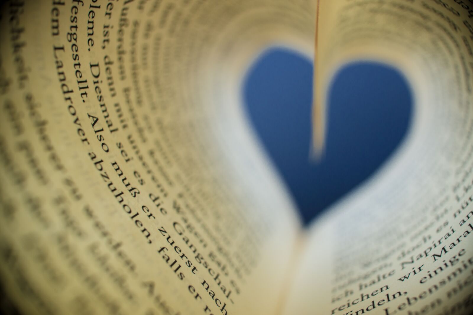 Nikon D800 sample photo. Book, heart, read photography