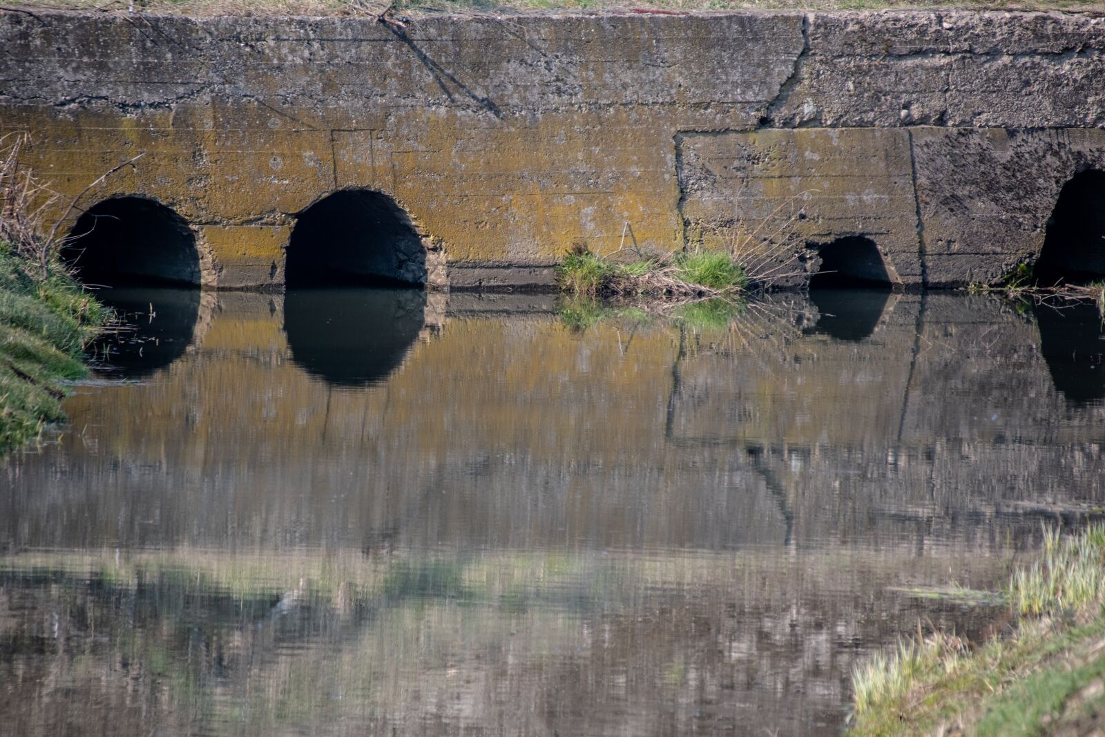 Nikon D500 sample photo. Nature, water, mystery photography