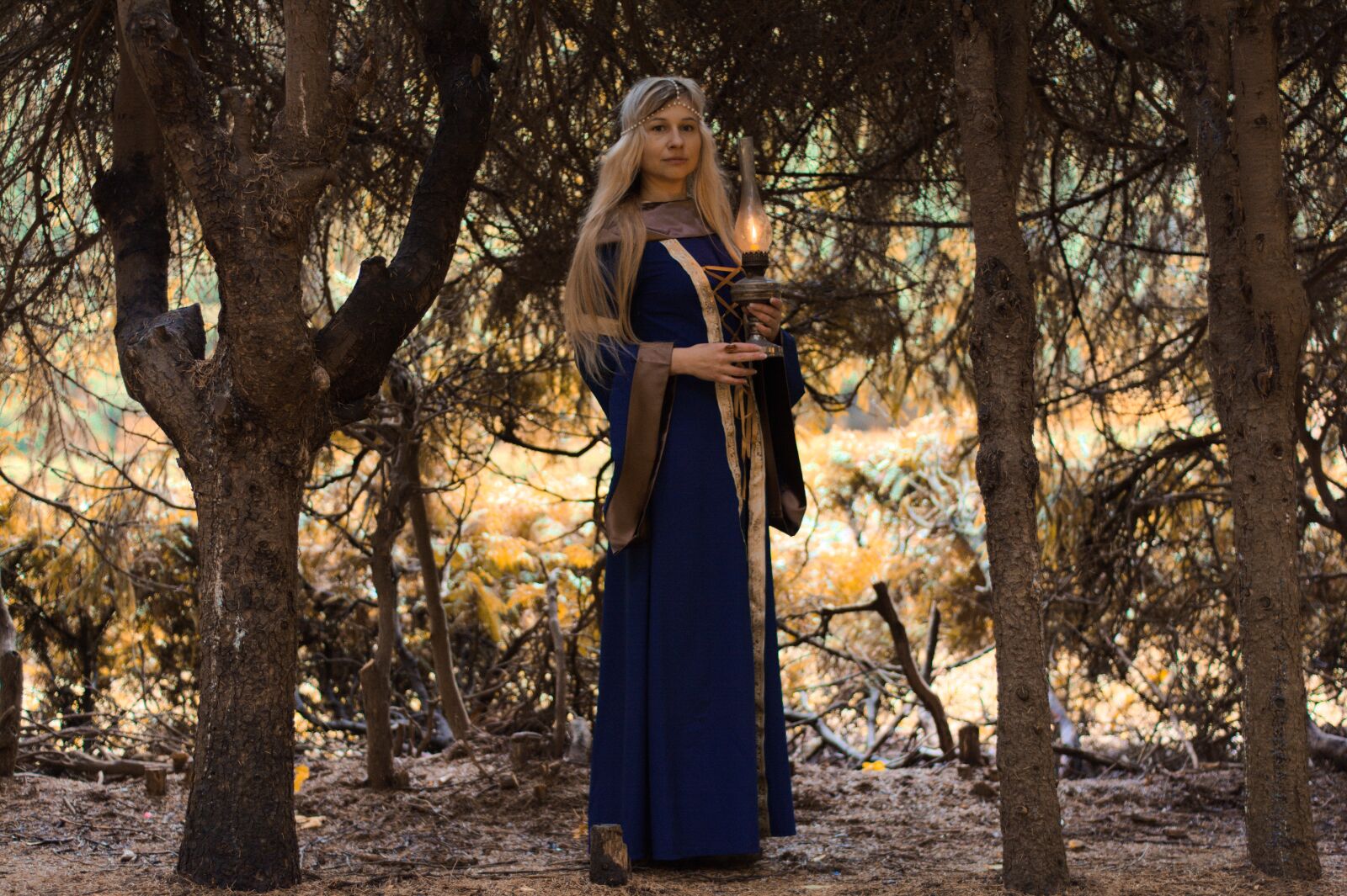 Nikon D7100 sample photo. The middle ages, autumn photography