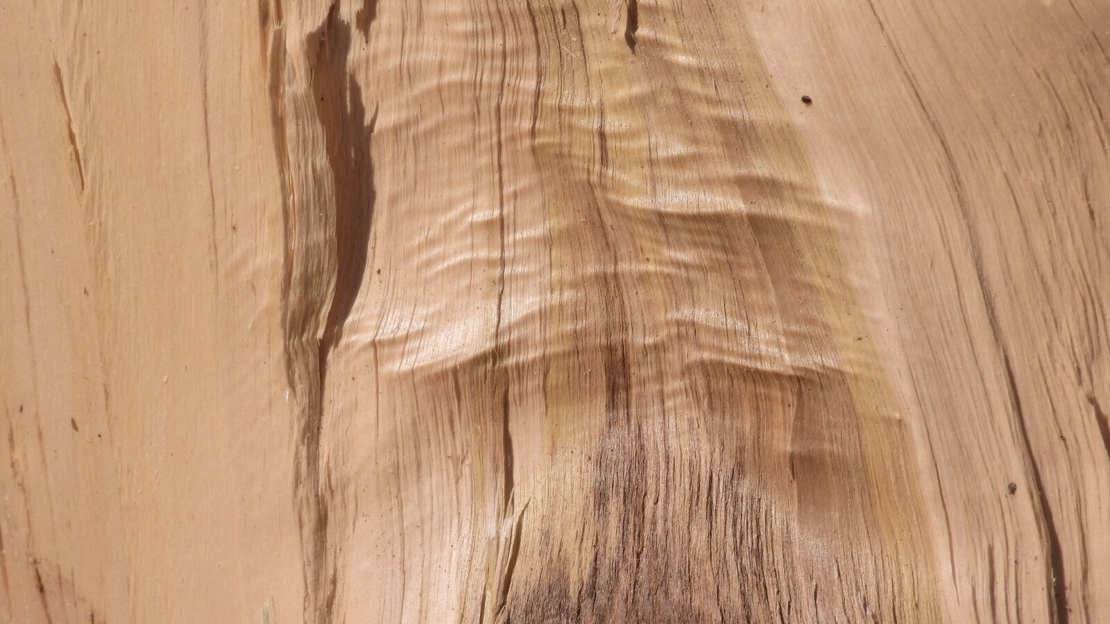 Nikon Coolpix P610 sample photo. Wood, texture, surface photography