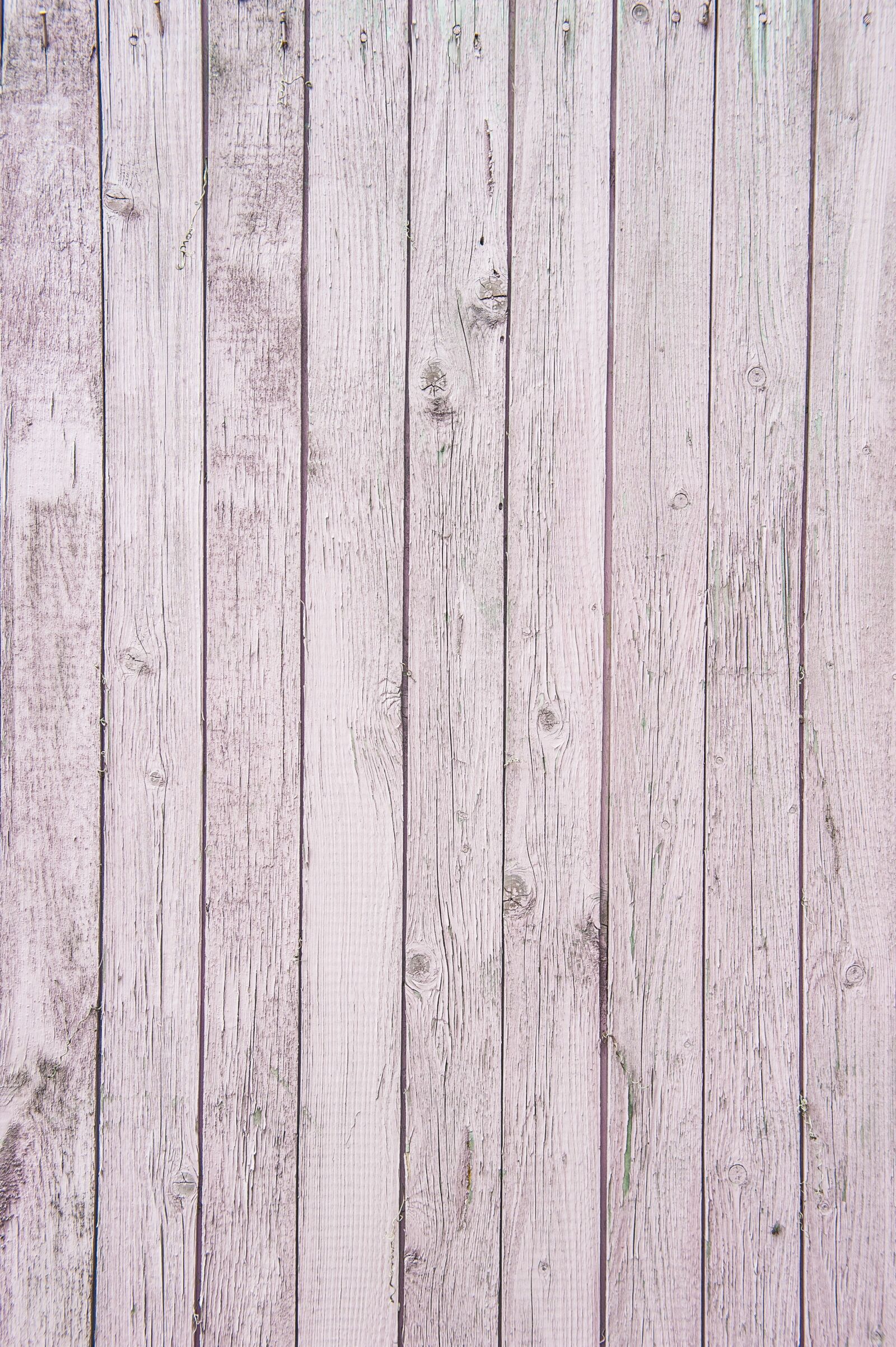 Nikon D700 sample photo. Pink, the old board photography